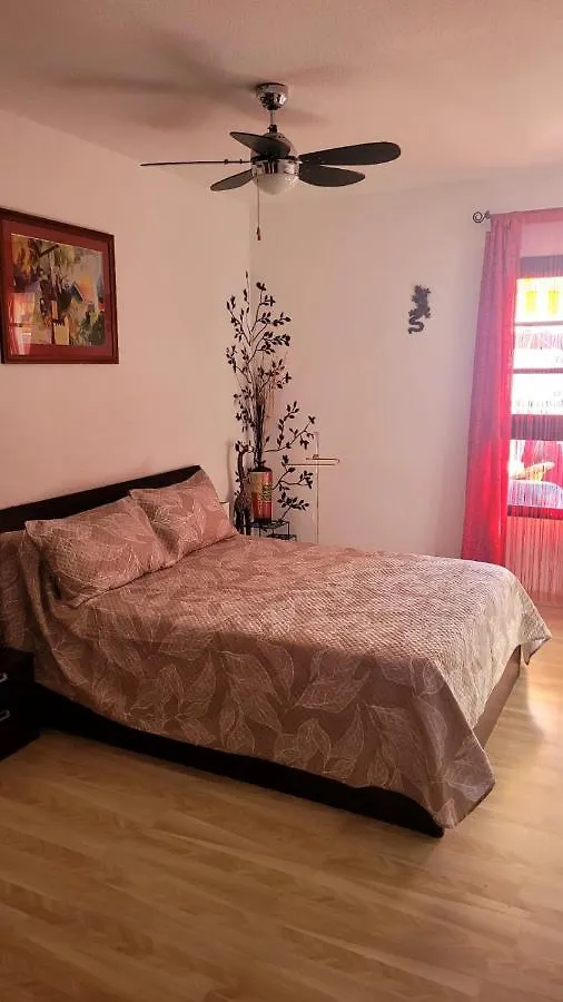 Oceanfront Beach Apartment La Arena بويرتو دي سانتياغو
